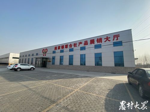 從田頭到市場 博興龐家鎮合作社聯合社的創新實踐